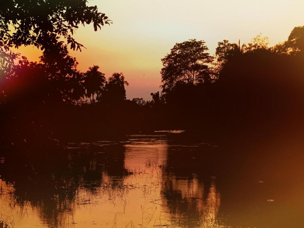 Aliya Riverside & Safari Resort Удавалаве Екстериор снимка