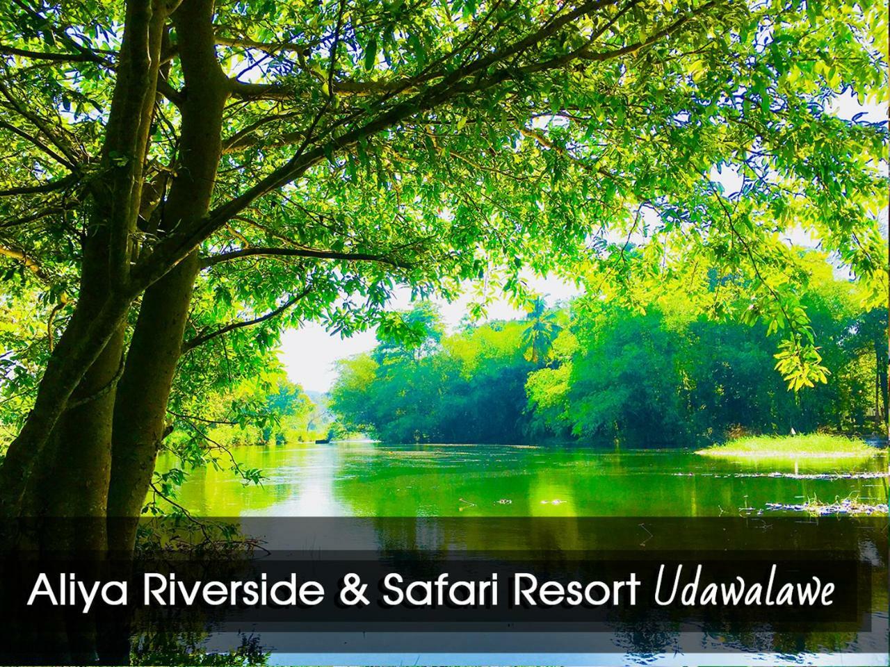 Aliya Riverside & Safari Resort Удавалаве Екстериор снимка