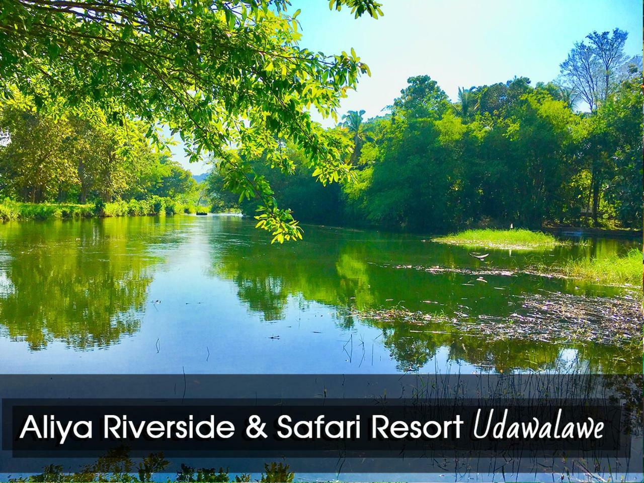 Aliya Riverside & Safari Resort Удавалаве Екстериор снимка