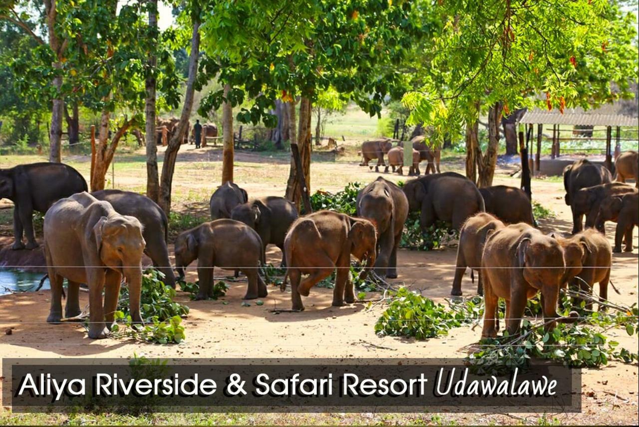 Aliya Riverside & Safari Resort Удавалаве Екстериор снимка
