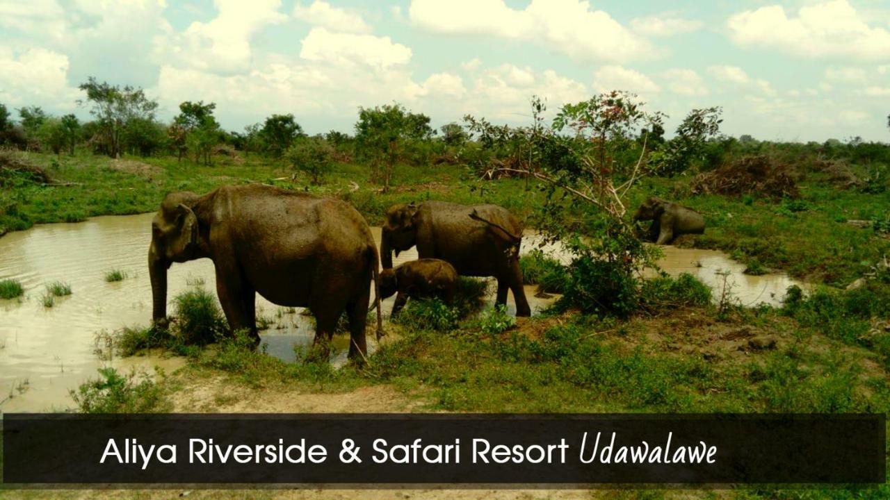 Aliya Riverside & Safari Resort Удавалаве Екстериор снимка