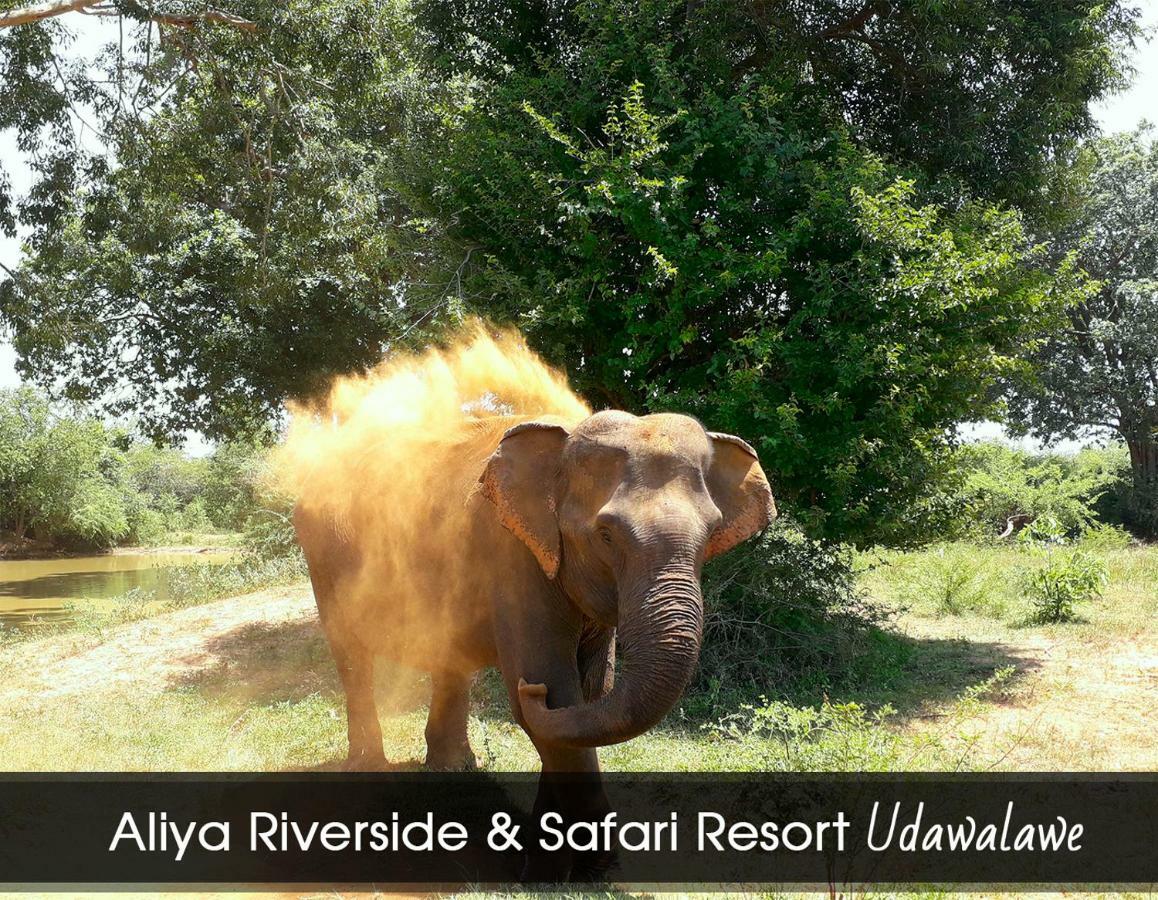 Aliya Riverside & Safari Resort Удавалаве Екстериор снимка
